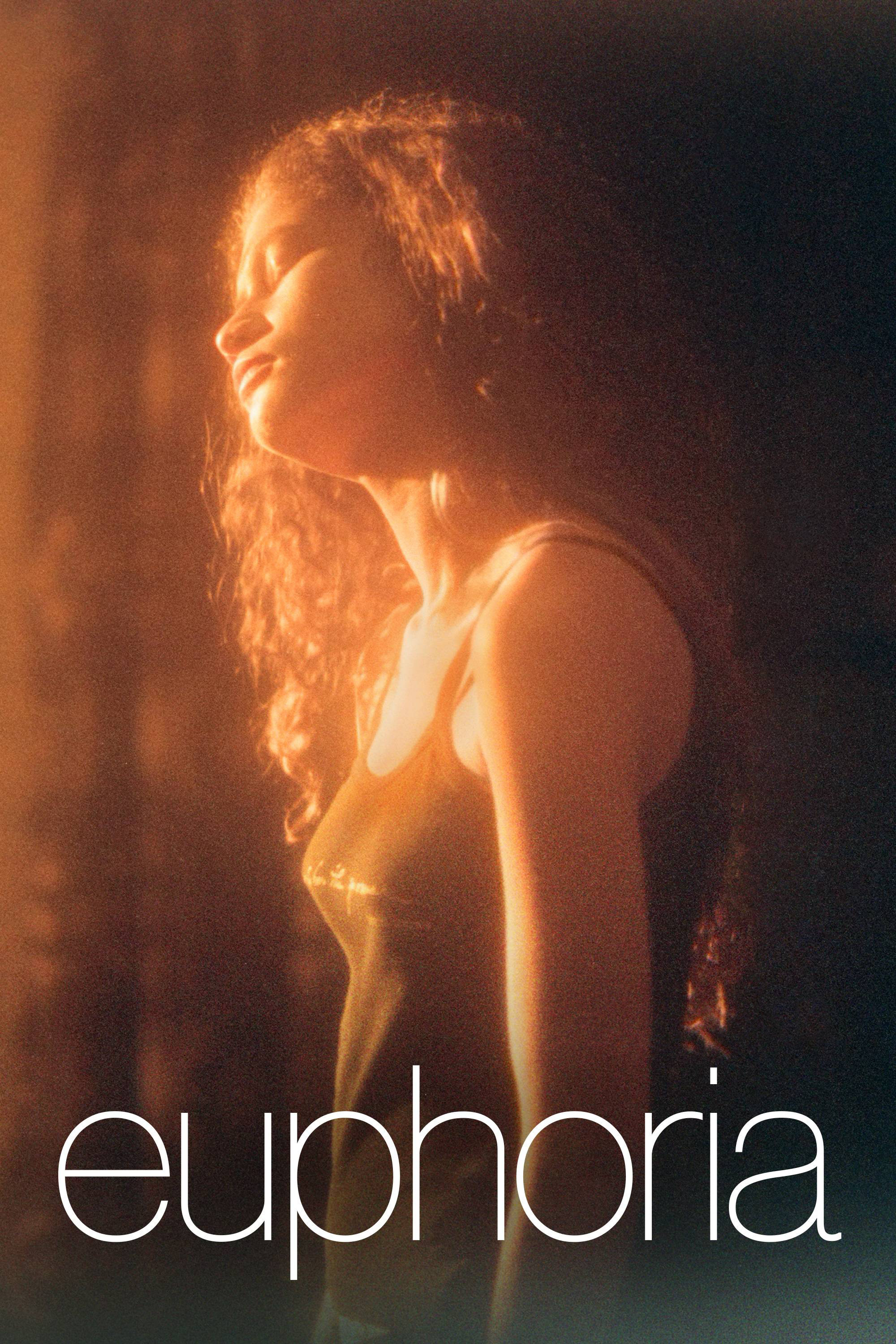 Euphoria Season 1 Completed -Alert 18+⛔ (2019) • Hindi, English Dual Audio on MovieLinkBD